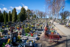 Cmentarz Wiosną